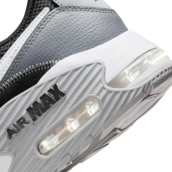 Nike Air Max Excee Men's Sports Low Top Shoes Nike