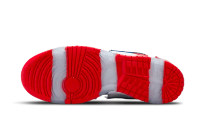 Nike SB Dunk Low Shoes Luxeara